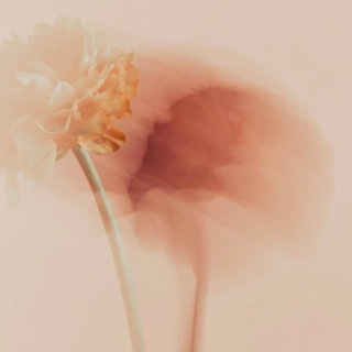 ma chère marie 🪐