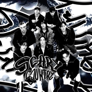 🕸️ @𝒔𝒄𝙰𝒓𝒚 𝒄𝒐𝒖𝒏𝚃𝒓𝒚))