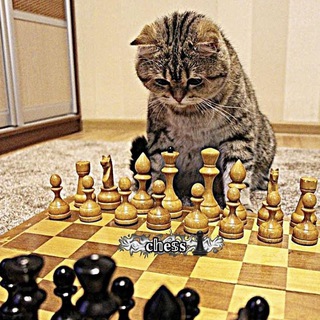 𝐜𝕙𝐞𝕤𝐬♟