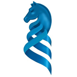 Интеллектуальный клуб ДВФУ