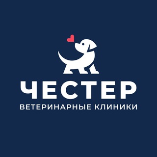 ЧЕСТЕР ветеринарные клиники СПб, Приморский р-н 24/7