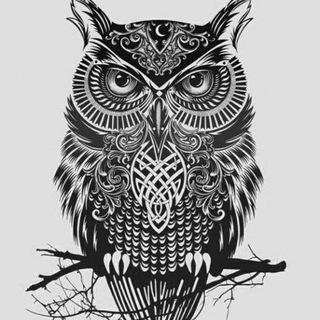 Что? Где? Когда?