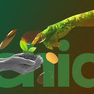 CHIA (канал) - аналитика ТОП кошельков XCH