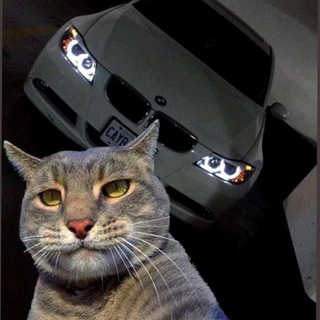 Es un tiempo para чикиш