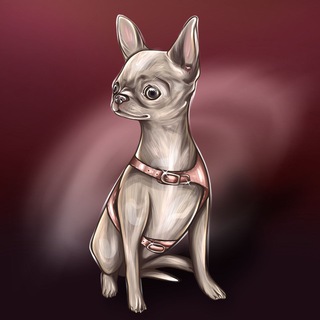 Щенки Чихуахуа