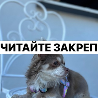 читайте закреп