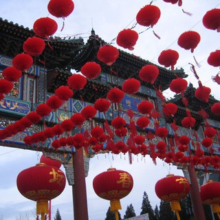 Водяной орех● 中文○汉语◇漢語♡普通话■华语□ 華語●國語◇粤语♡粵語