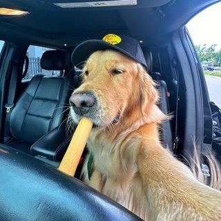 CHILL PILL BEATS (Биты | Beats)