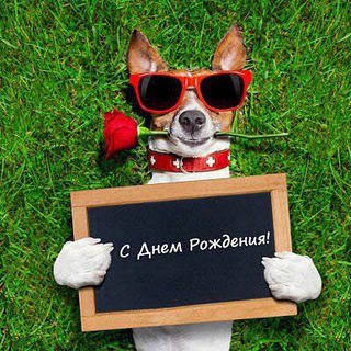 Чилл Wesoll | Переходник