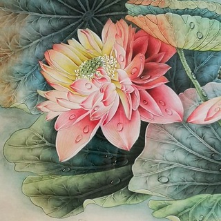 Китайский Лотос