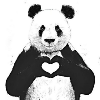 Китайский с Фэйянг (飞扬)