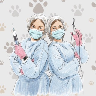 🩵Чип и Дейл:ВетПомощь🩵