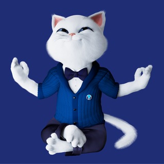 Chirton | Бытовая химия