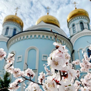 Читинская епархия