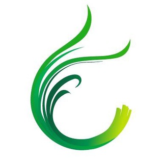 Chives Official Group