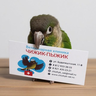 Чижик-Пыжик