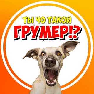 Ты ЧО такой ГРУМЕР ⁉️