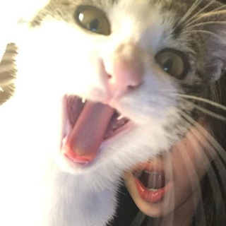 меховая фабрика.mp4