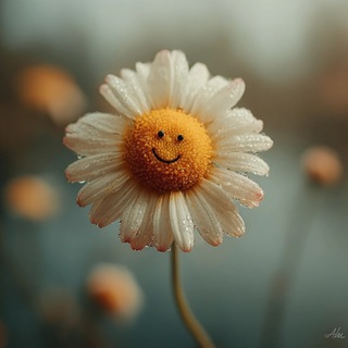 УЛЫБКА😊 Видеомемы и не только