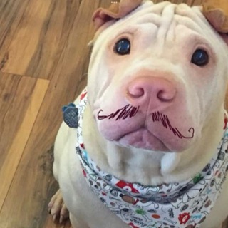 choruii🎄🥒🛁🎄🍇🛩️🧼🧼🛌🧼🐳