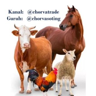 Chorva Trade Uzbekistan 🛂