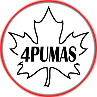 4PUMAS (ЧПУ_Мастеров #ОБУЧЕНИЕ)