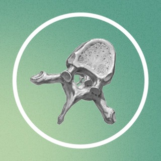 CMS | Анатомия