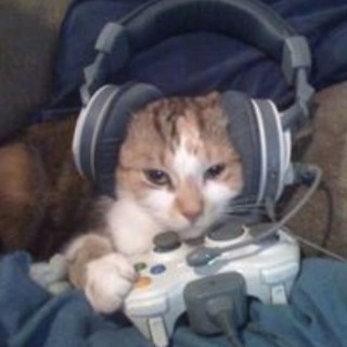 Что по новинкам?