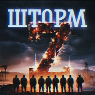 Шторм Z Выплаты и документы