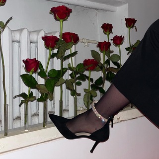 Юля в Дзене