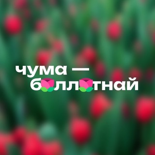 чумаболлотнай