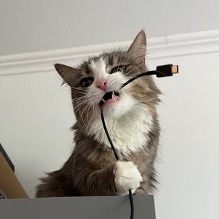 Чупа ин да хауз