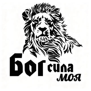 ТУРНИР «Бог- сила моя»