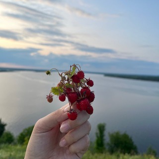Мой уголок с красотами Чувашии