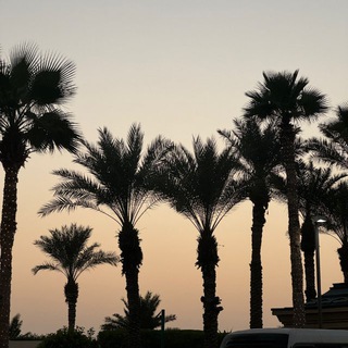 مع المحبرة إلى المقبرة