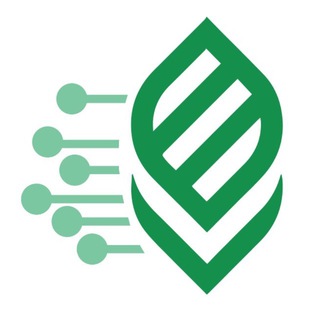 ЦифрЭк КубГАУ