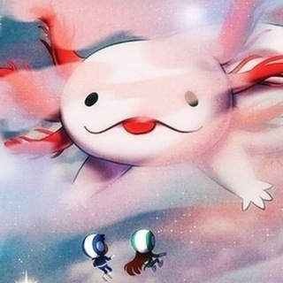 MULTIVERSE THEORIES//18+