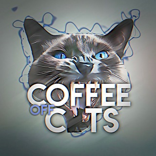 🐈coffee.off.catsᶜʰᵃᶰᶰᵉᶫ🐾