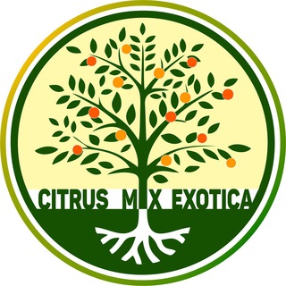 Канал ПРОДАЖ Цитрус Микс Экзотика