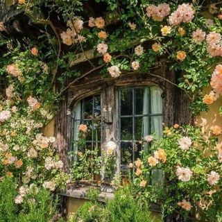 Портмоне Клавдии