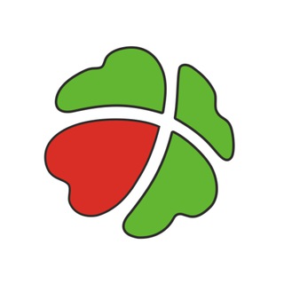 Франшиза CLEVERSPORT