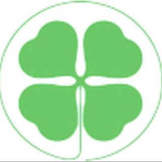 Клевер Консалт