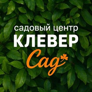 КлеверСад