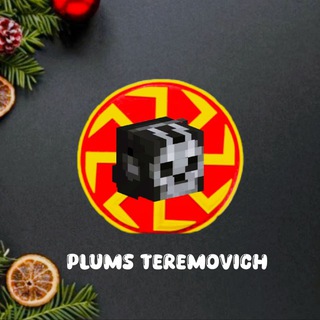 PLUMS TERЕMOVICH
