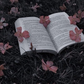 🦋 𝓢𝓾𝓷𝓼𝓱𝓲𝓷𝓮 𝓡𝓮𝓪𝓵𝓶 𝓬𝓸𝔀𝓼 ☀️