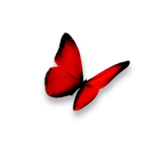 Red Butterfly 18+