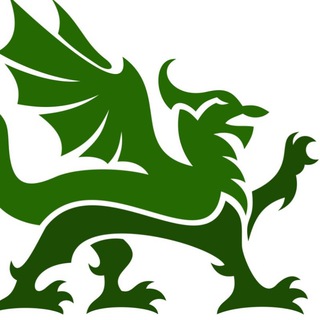 Дом Дракона | Организаторам ретритов