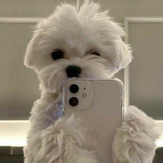 clube do 31♦️♣️