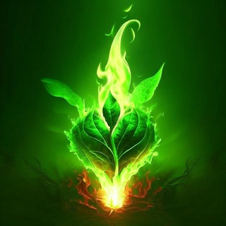 Женский Клуб "Перерождение"