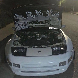 логово хауса